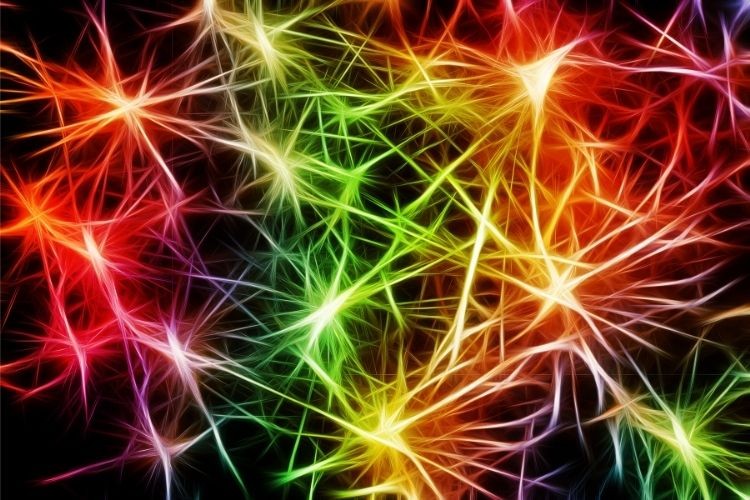 Neurons-resized-for-website